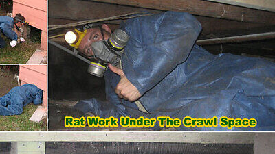 Rat Crawlspace